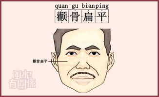 （一）职场上的进取心与施行力