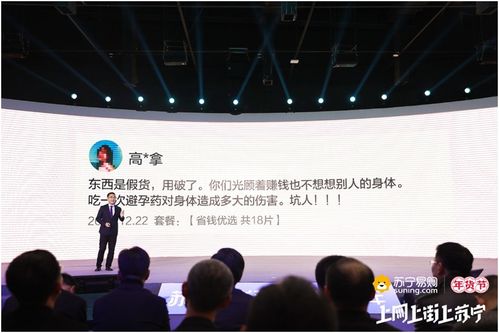 案例详析：典型公司名称及其潜在实际价值阐释