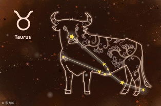 金牛座的最大特点究竟是什么，让人如此着迷？