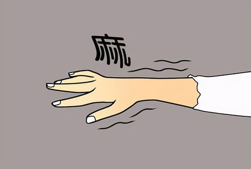 三、 案例探究：网络暴力与情绪失控的社会周边环境学剖析