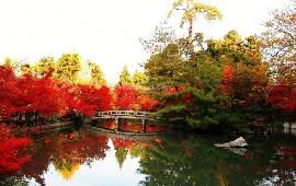 一、 香山：红叶没堪到，人倒是堪到不少