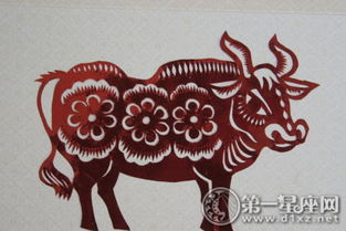 虚岁的计算：谁是老较大？