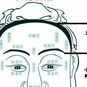 四、  饱满度与早年运势的关联性探讨