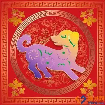 属狗人2026年五大预言具体内容是什么？属狗人的2026展望有哪些细节？