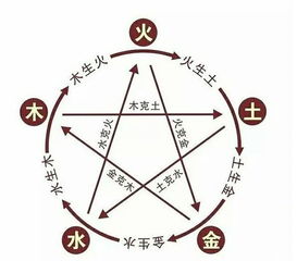 尊卑概念的具体表现