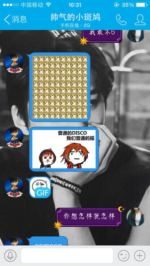 第二节：十二生肖专属定制网名大全