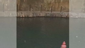 孟姓虎男宝宝如何起一个既聪明又漂亮的名字？