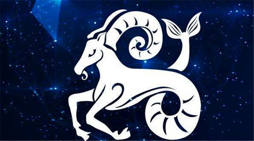 情感运势——单身与有伴侣者的差异化表现