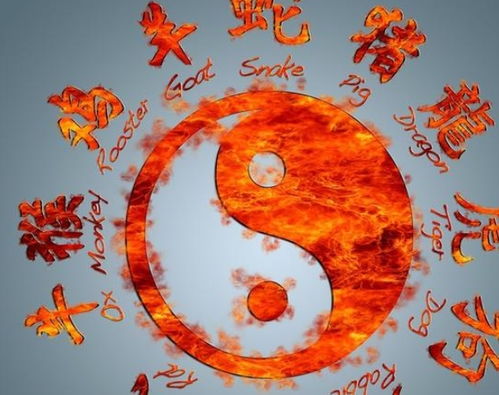 1987年属哪个生肖对应的命理是什么？