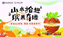 标题改名学：从“果香记忆坊”到“味蕾回溯”的创意之路