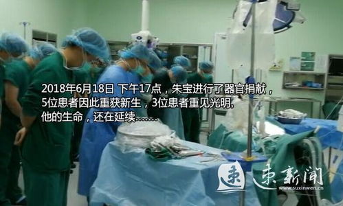 二、 艰难抉择：爱之升华与伦理困境