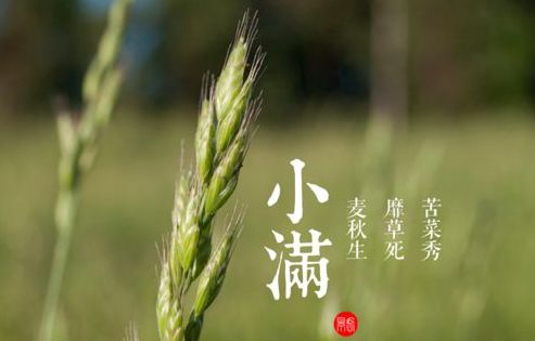 小满节气的天文定位与名称渊源