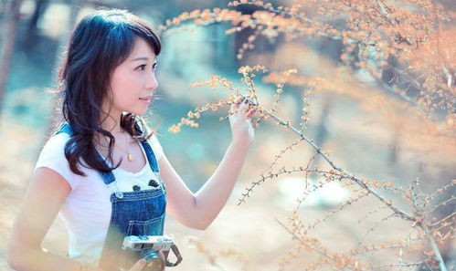 风情年华和柔媚娇俏分别指的是哪个生肖？