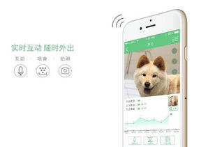 经典款：甜到齁