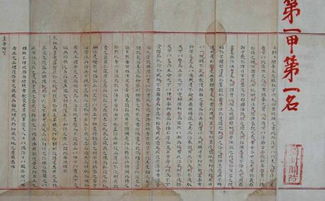 四、 文化底蕴与学术贡献的综合评述