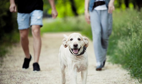 82年狗大海水命，这命格的纹路能叫什么名字呢？