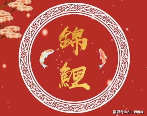 8月23日属鸡生肖的财运如何，明天应该穿什么幸运色衣服？