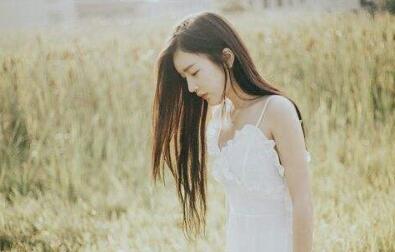 一、 生肖文化的现代演绎：符号重构与情感投射