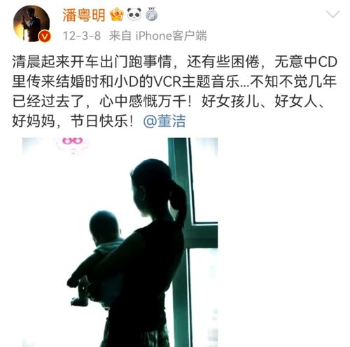 三、 子嗣宫之不容简单求及其象征意义解析