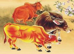 属牛名字周易吉凶查询，如何改写属牛旺运名以提升运势？