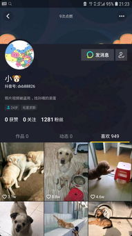 狗：忠诚与勇敢的伦理价值