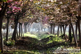 出发前的混乱：这真的是去旅游吗？