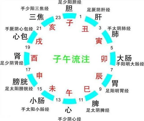 医学领域的辩证运用与实践价值