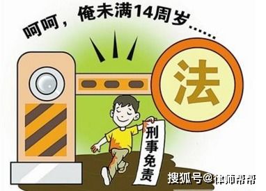 二、 年龄与刑事责任边界：法律制度法规视角