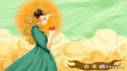 Top1：处女座