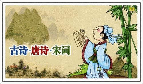 三、 两字与三字姓名结构之对比解析