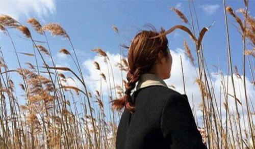 一、  生肖风水视域下的理论基础与五行法则