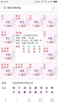 （二）化曜与其他宫位交互作用的综合评估