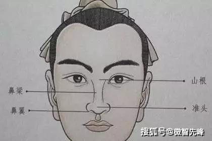 三、 鼻梁高挺与财运、事业心之关联