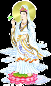 观音灵签太极鱼免费抽签，能否帮我改写为长尾不超过50字？