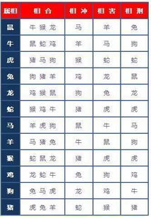 地支之间的相互关系