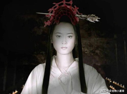 神秘的哭声