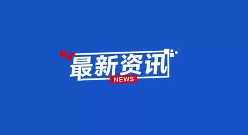 崭新安、 西邦及欧意嘉系列案例解析