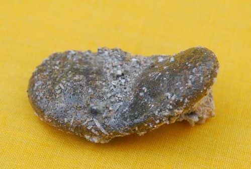 1. 徐玄较大师遗物案例