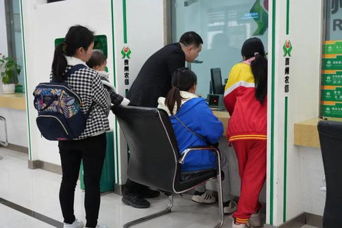 一、 案件概述及其对家庭结构的冲击