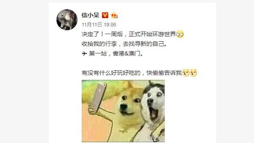 福气光环背后的努力因素：幸存者偏差的批判性考察