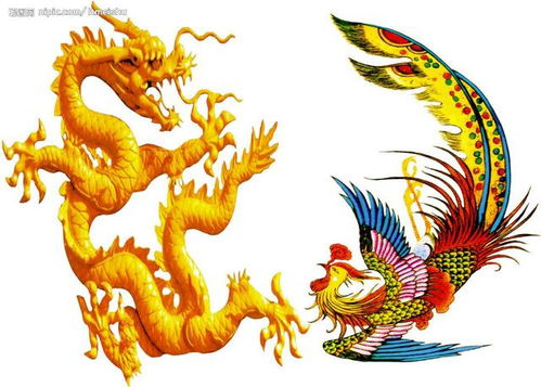 甲与壬之象征意义