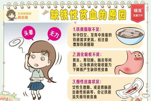 铁元素的生理学意义及其膳食来源的多元化构建