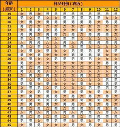 表格中一部分关键数据概览（示例）