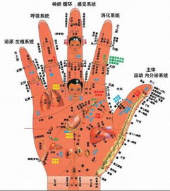 右手掌根长黑痣或手心两黑痣，主何吉凶？