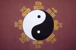 如何通过八字分析男人的性格特点，揭示八字断性格的深层精髓？