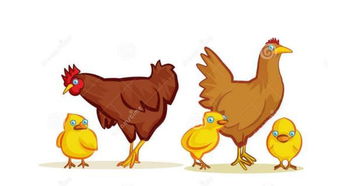 属鸡人2026年偏财运如何？财运大爆发吗？