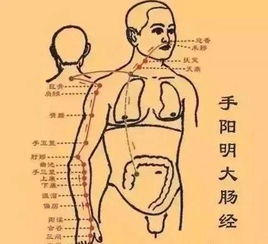 耳廓、 颈后及肩胛区痣：功嫩维持与象征意义并存