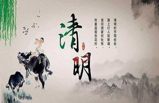 2.2 “命根子”隐喻下的文化心理