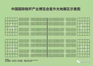 三、 天时——星曜与流年大运的综合考量