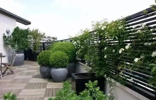 4. 四季常绿灌木——紫薇（Lagerstroemia indica）及海棠（Malus spectabilis）